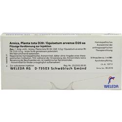 ARNICA PLANTA T D20 EQUISE