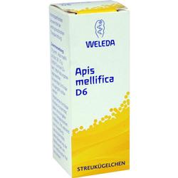 APIS MELLIFICA D6